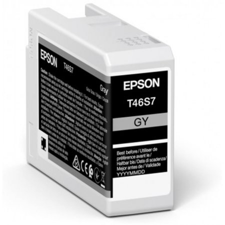 Epson Singlepack Gray T46S7 Ultrachrome originální