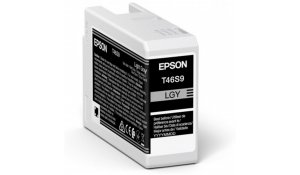 Epson Singlepack Light Gray T46S9 Ultrachrome originální